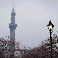 IMG_8497.JPG