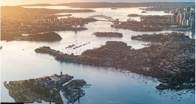 Shark attacks in Sydney Harbour are rare