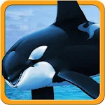 Hungry Killer Orca Whale 3D Apk