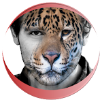 Animal Faces - Face Morphing Apk