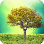 Nature Live Wallpaper Apk