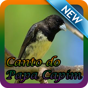 Download Canto do Papa Capim New Offline For PC Windows and Mac