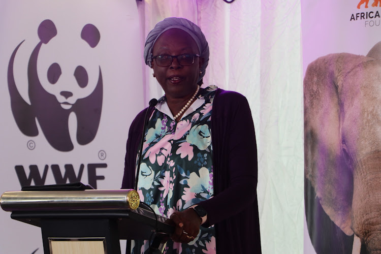 Former Cabinet Secretary, Ministry of Industrialization Betty Maina speaking to women during International Women's Day In Karen on March 8,2024.