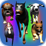 Dog Simulator: Doggy Fight Apk