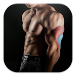 Bodybuilding & Fitness Workout Apk