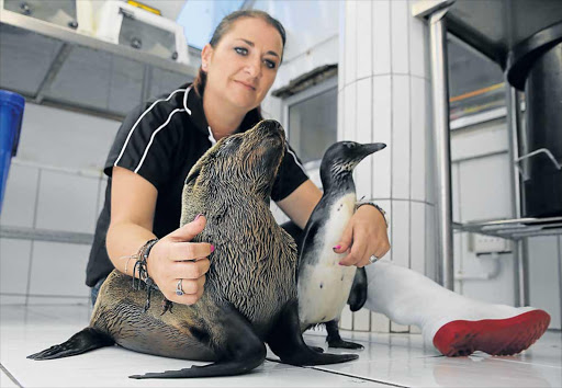 A BOND SEALED: East London Aquarium assistant Ilse Rheeder looks after Milkshake, the baby Cape fur seal, and Strawberry, the African penguin, who have bonded at the aquarium where they are being rehabilitated after being washed up within a day of each other last month Picture: ALAN EASON
