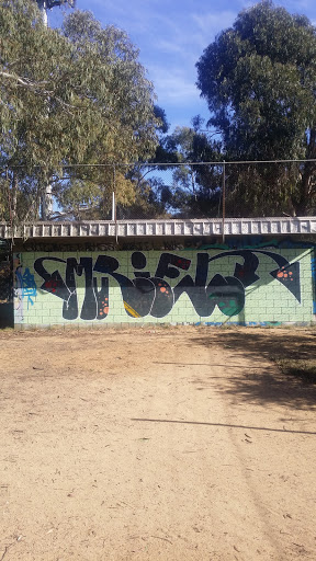 Graffitied Graffiti