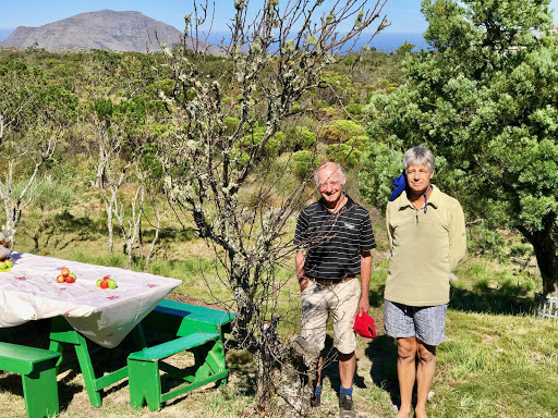 Tru-Cape new varietal expert Buks Nel and quality assurance manager Henk Griessel with the ancient apple tree on Table Mountain.