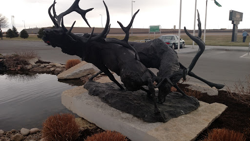 Elk Sculpture