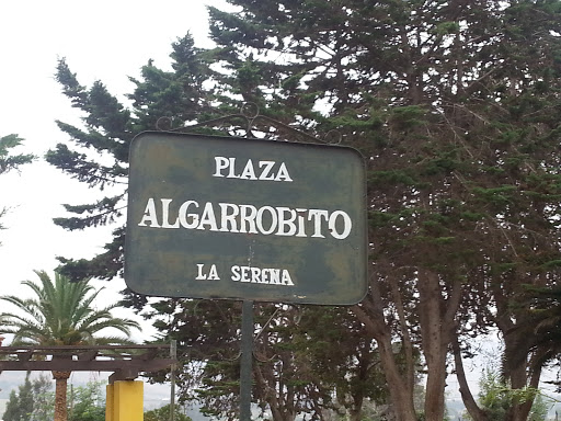 Plaza Algarrobito