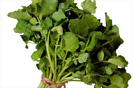 Watercress