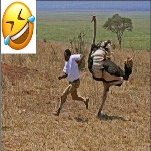 Download Best Jokes In Africa For PC Windows and Mac