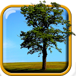 Nature Live Wallpaper Apk