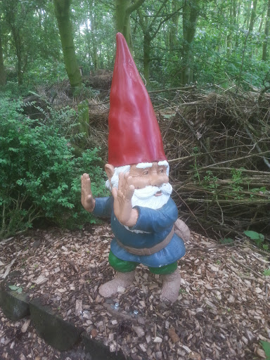 Woodgnome