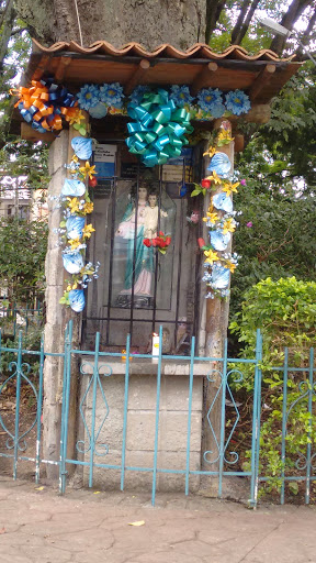 Virgen Parque San Pablo