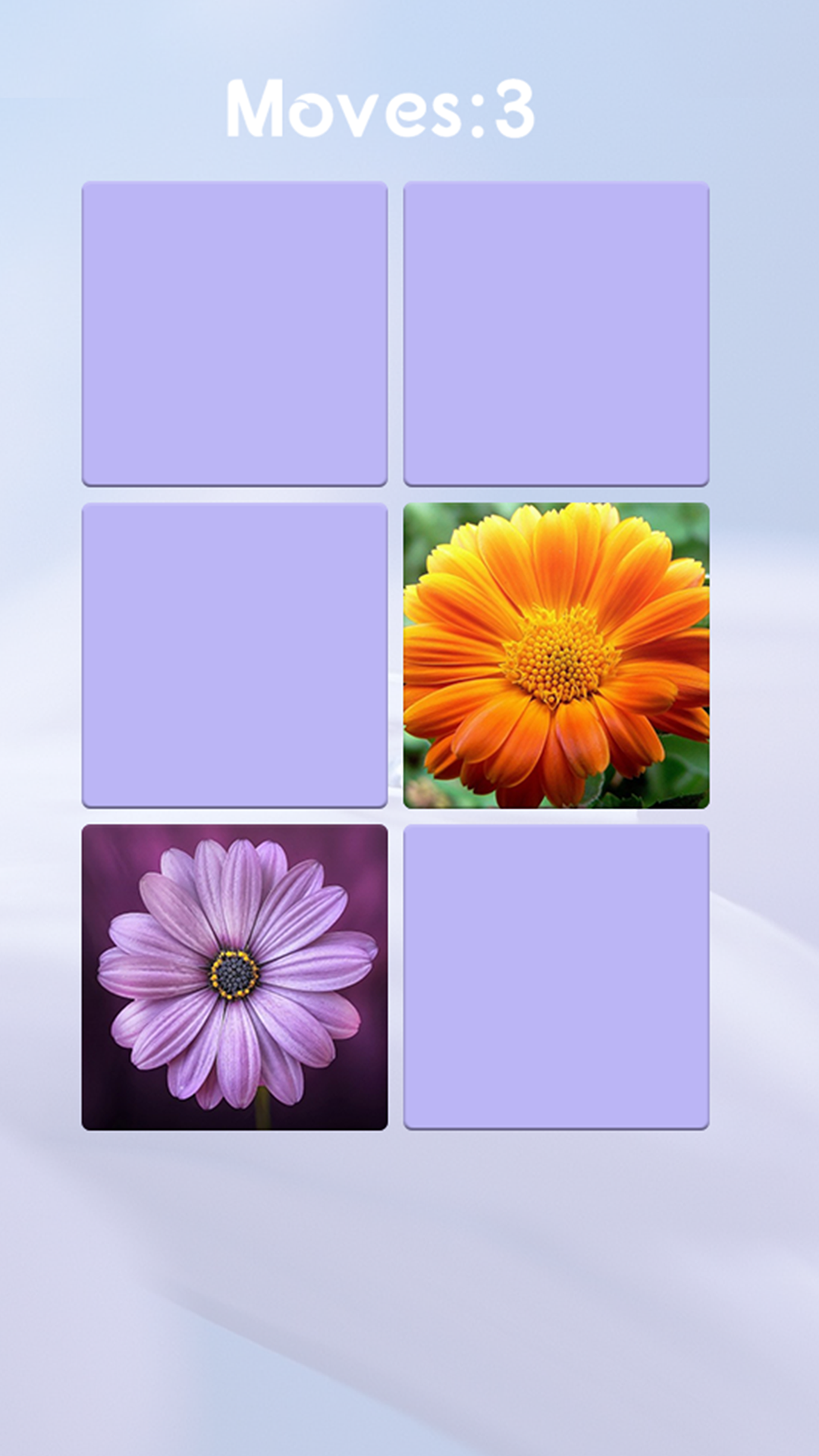 Android application Flower Memory Game  screenshort