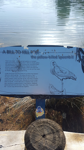 Yellow Billed Spoonbill Sign 