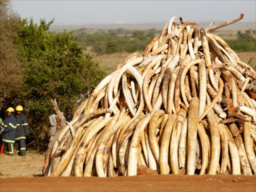 Ivory trade