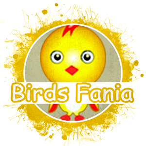 Download Birds Fania For PC Windows and Mac