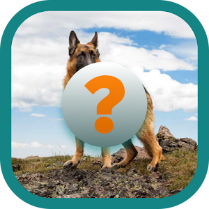 Download Dogs Quiz Game For PC Windows and Mac