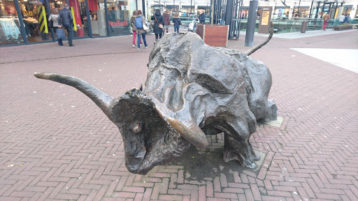 the bull in city center