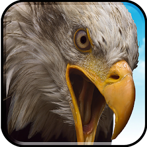 Download Birds Flying Eagle Simulator 3D For PC Windows and Mac