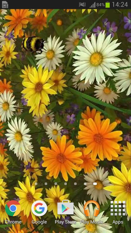 Android application Wild Flowers 3D Live Wallpaper screenshort