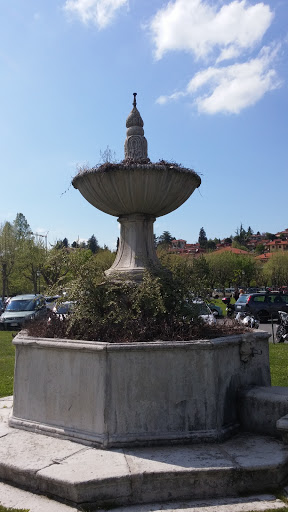 Fontana del Leone