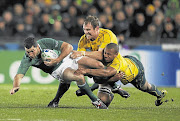 Wallabies Rocky Elsom, top, and Will Genia tackle Ireland's Rob Kearney during the World Cup Pool C match at Eden Park yesterday Picture: REUTERS