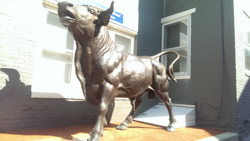 Bull Statue