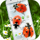 Download Ladybug in Phone Funny joke For PC Windows and Mac Vwd