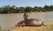 Photos of a hippo being shot and skinned have garnered mass outrage on social media.