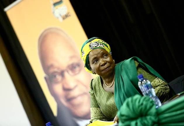 Minister Nkosazana Dlamini-Zuma wants a word with the guy behind the 'Zol' hit track and music video.