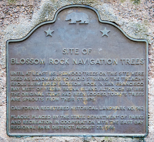 Site of Blossom Rock Navigation Trees Until at least 1851, redwood trees on this site were used as landmarks to avoid striking the treacherous submerged Blossom Rock in San Francisco Bay west of...