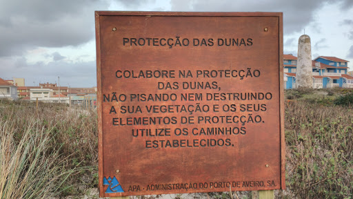 Protecção Das Dunas