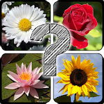 Guess The Flowers: Quiz Apk