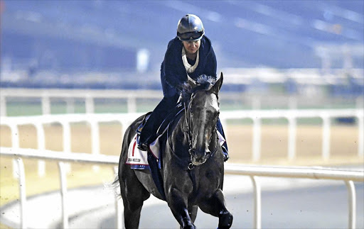 SILVER STREAK: Arrogate, winner of the world's richest race, the $12-million Pegasus World Cup, is quoted at 4-10 for tomorrow's Dubai showpiece.