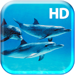 Underwater Dolphins Live Apk