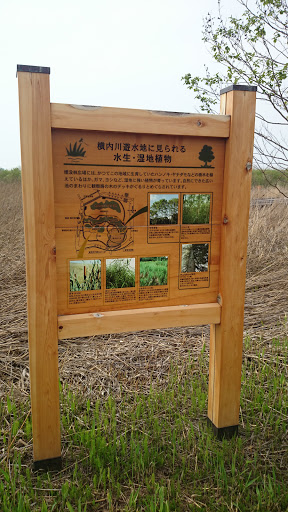 横内川遊水池植物案内板