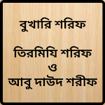 বুখারী,তিরমিযি ও আবু দাউদ শরীফ Apk