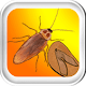 Download Crazy Cockroach Killer For PC Windows and Mac 1.0.0.0