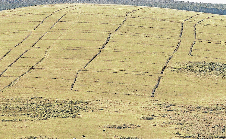 FURTHER PROVOCATION: Part of the Erf 90 land in Libode which has been demarcated into sites by the community of Moyeni, has triggered a nasty fight between the community and the Nyandeni Municipality Picture: Lulamile Feni