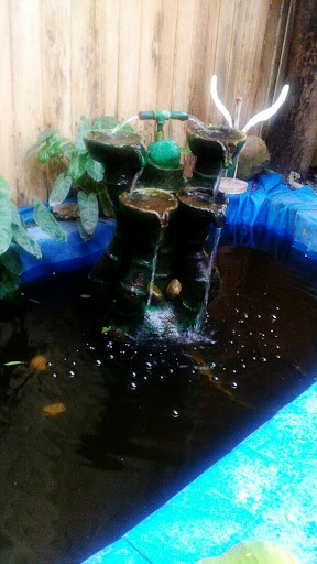 Jacko's Garden Fountain