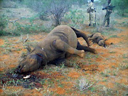 A dead rhino and calf killed by poachers. File photo.