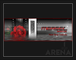 Arena Tutorial MerSeL