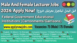 Male And Female Lecturer Jobs 2024: Apply Now!