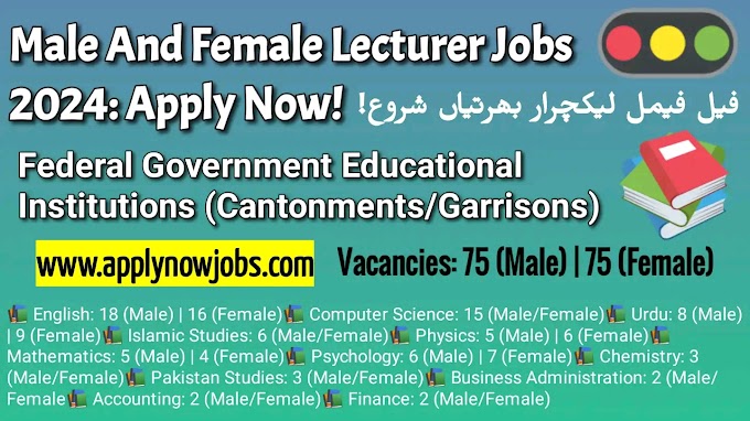 Male And Female Lecturer Jobs 2024: Apply Now!