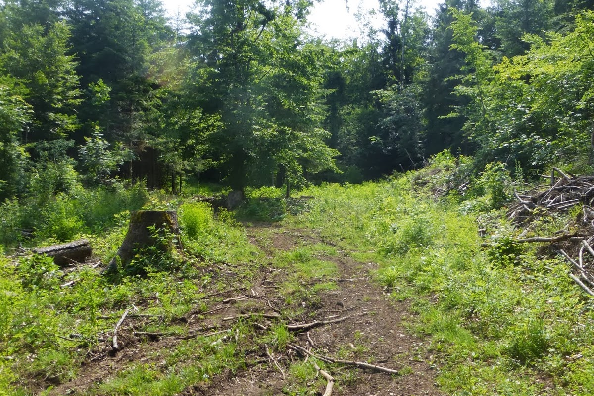 P1030173.JPG