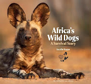 'Africa's Wild Dogs' is a photographic celebration of one of the continent's most endangered predators.