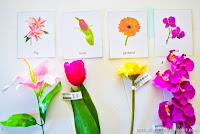 Flower Matching Cards